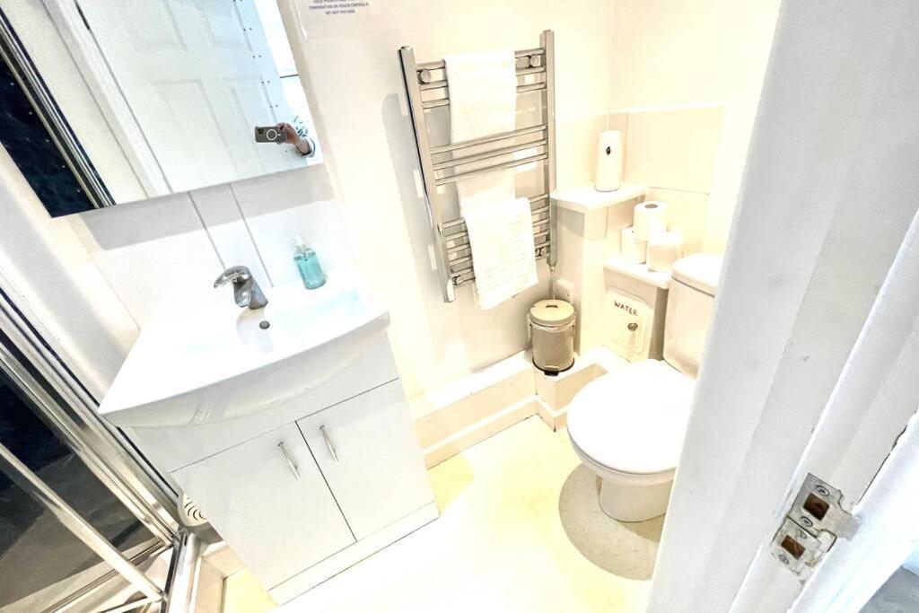 Koala & Tree - Big Studio At The Heart Of Cambridge - Short Lets & Serviced Accommodation Exteriör bild